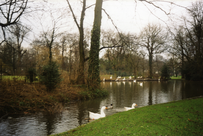 108610 Gezicht op de vijver in het Park Oog in Al te Utrecht, met enkele ganzen.N.B. De foto is gemaakt door Carmilla ...